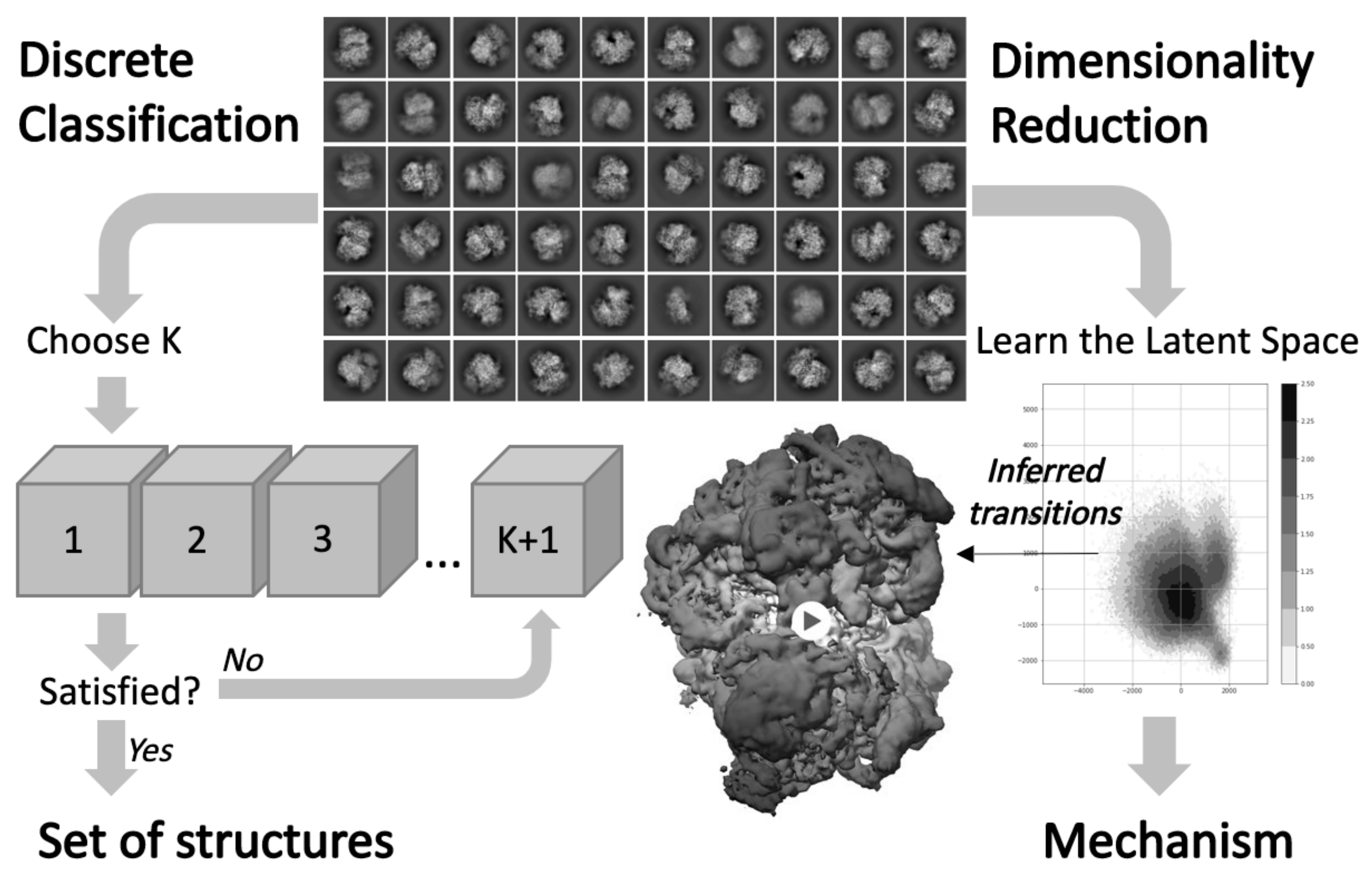 Structural heterogeneities of the ribosome: new frontiers and opportunities for cryo-EM